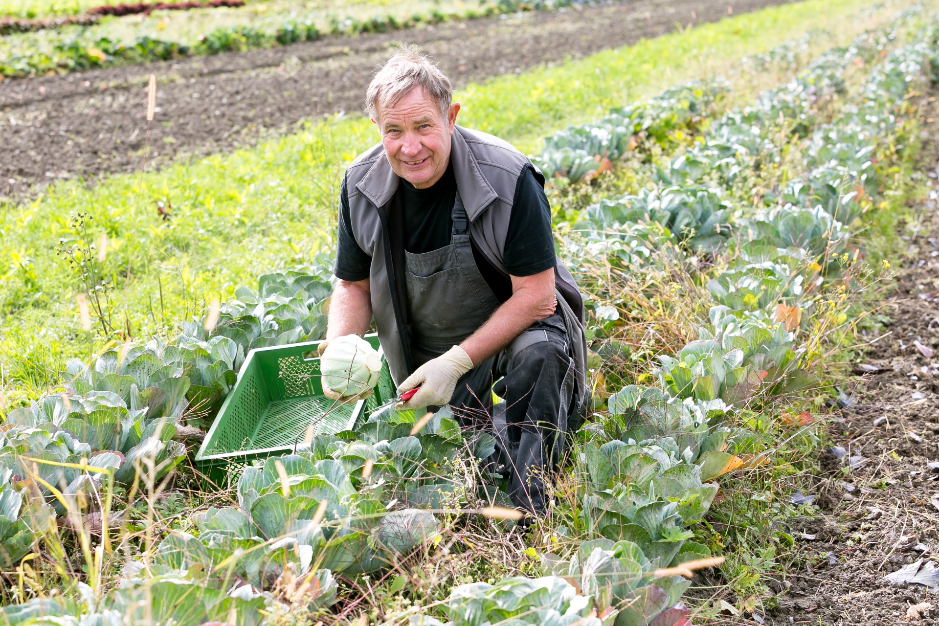 Kraut in Aktion ehrne.bio